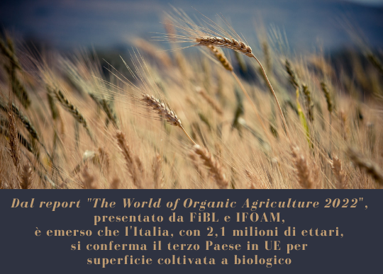 europa italia 3 posto x coltivaz biologica.png